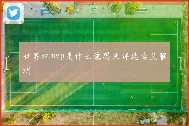 世界杯mvp是什么意思及评选含义解析