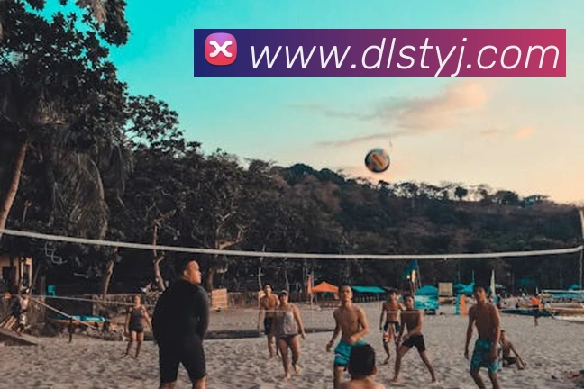 世界杯官方网络平台平台生态图