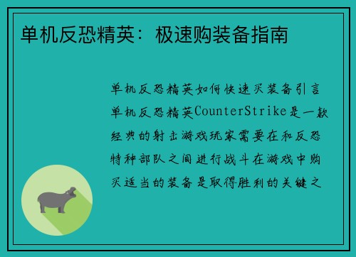 单机反恐精英：极速购装备指南